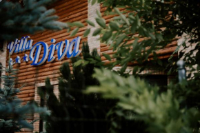 Гостиница Pensiunea Vila Diva  Пьетроаса